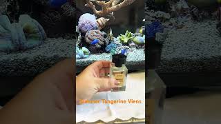 Perfume Summer Tangerine de Viens #perfumes #inspirados #viens #fragrance