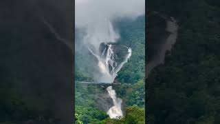 #Train Passing close to the Beautiful Dudhsaga Waterfall || SHORT CLIPS #shorts #waterfall #railway