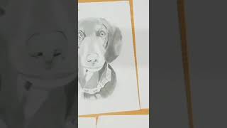 Excellent Art Work || Short||#youtube #youtubeshorts #ytshort