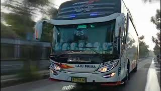 Story wa bus Laju prima||Terbaru