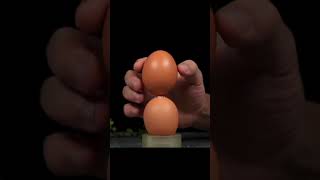 Upside down egg #shorts #experimentvideo #science #stemeducation #doyouknow #amazing #tryit #stem