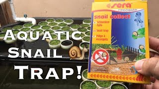 Snail Trap for Ponds or Fish Tanks 1