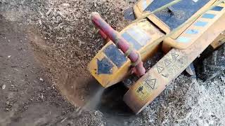 Stump Grinding