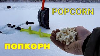 Реакция рыбы на Попкорн (PopCorn)! Подводная съемка