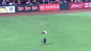 Angel Pagan Body Slams Fan Running onto the Field at the 9/30/16 San Francisco Giants