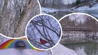 Winter Wildlife Spotting on Toronto's Don Trail & Rainbow Tunnel