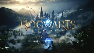 КВЕСТ - УЧАСТЬ ДОМОВОГО ЭЛЬФА // Hogwarts Legacy // Хогвартс Наследие