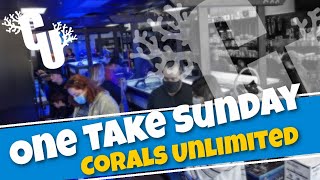 One Take Sunday | Corals Unlimited