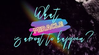 Pick A Card: What Miracle is about to happen🌈✨🙌✨🌈