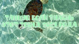 🤍💚🐢 танцуй если знаешь этот тренд 2024 года 🐢💚🤍