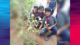 Rajyapuraskar awards/ scout and guide/ scout and guide rajyapuraskar