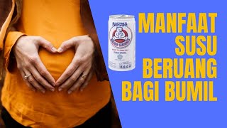 Manfaat Susu Beruang untuk Ibu Hamil - Seputar Susu