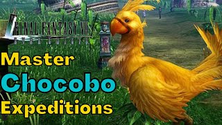 Chocobo's Bringing In The Resources! | FF7 Ever Crisis