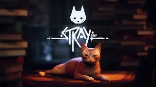 Stray, Acika Kaze Najbolja Igra Ikad!