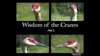 Wisdom of the Cranes Part 2