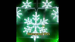 2D Motif Christmas Light