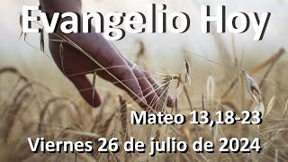 EVANGELIO DEL DIA - Viernes 26 de julio de 2024 - Mateo 13,18-23