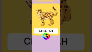 Cheetah Flashcard #shorts #cheetah #animals #jungle