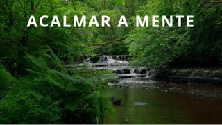 Música ao Piano | Acalmar e Relaxar | Floresta que traz Paz #shorts