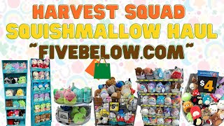 Squishmallow Harvest Drop Haul 2022 ~FiveBelow.com~