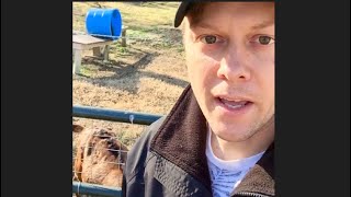 What to feed goats in the winter