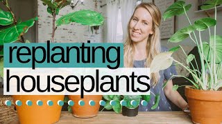 REPOTTING HOUSEPLANTS SPRING 2019