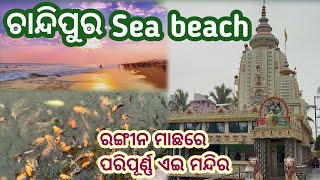 Chandipur sea beach full details || baleswar all tourist place || Chandipur beach view ||#odia_nana