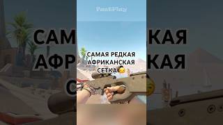 ЧЕРНАЯ и САМАЯ РЕДКАЯ АВП Африканская сетка 😏😏😏