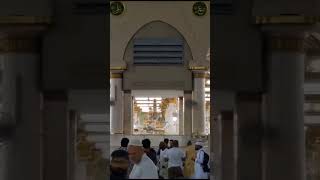 #پھر یاد نہیں کیا کیا انوار نظر آ ئے#shorts #shortsvideo #live #madina #lamhy #love#duamaqbool🤲