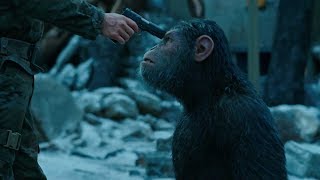 Vojna o planétu opíc (War for the Planet of the Apes) 2017 - trailer 2 sk titulky