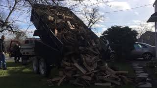 Firewood Delivery in Southwick, MA on 2022-11-29