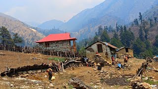 Simple The Best Mountain Village Lifestyle | Mountain village Life in nepal | Real Nepali Life