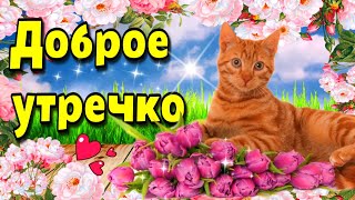 🌞🌈Самого доброго летнего утра! 💗 Благословенного дня!  Красивая музыкальная открытка 💗