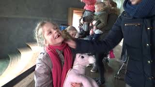 Blijdorp met Isabelle en Milou