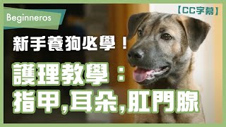 【寵物教學】新手養狗必學！指甲、耳朵、肛門腺護理需知與教學｜Beginneros