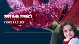 Soft Rain Sound Stop Thinking & Rainforest Rain Sounds for Sleeping or Studying -Thunderstorm Sounds