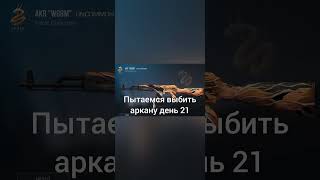 пытаемся выбить выбить аркану день 21☀ скоро ролик по бравл😉 го 4.5к до др🥳