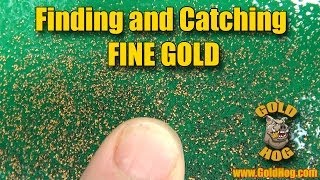 Catching Fine Placer Gold