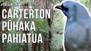 Driving New Zealand: Carterton, Pūhaka, Pahiatua 4K