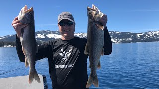 Lake Tahoe Mackinaw Trout Fishing - 2019