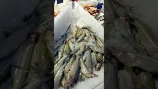 ДАРЫ МОРЕЙ 🐟🐠🐋 совсем не даром 🤔🤔 Купить или не купить? Цены за 100 грамм.