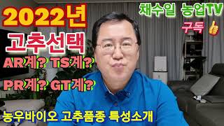 2022년 고추선택 계통별 특성과 복합내병성 고추품종 농우바이오 고추 소개 @hoengseonggun