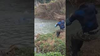 Amazing Rural Fishing Video 🐟 Best Asian Fishing Technique 🐟 #shorts