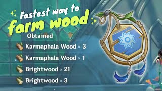 Fastest way to farm woods (and Sumeru's wood farming route)