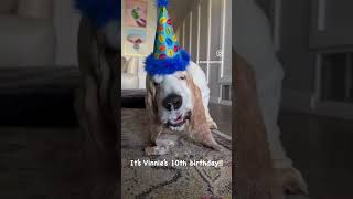 Vincent just turned 10!!