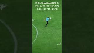 Siendo humillado... por unas palomas en el Azteca! 💙💛🦅 #ligamx #futbol #vamosamerica #soccer