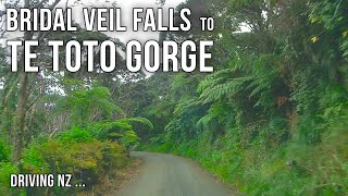 Driving New Zealand: Bridal Veil Falls to Te Toto Gorge Lookout  | scenic drive 4k