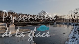 Suzanne prisonnière de la glace (Jardin des Tuileries, 20 janvier 2024 - 9h23)