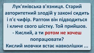 💠 Авторитет Лук'янівської В'язниці! Українські Анекдоти! Анекдоти Українською! Епізод #270