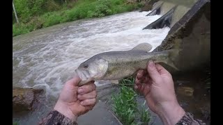 Dam fishing  video